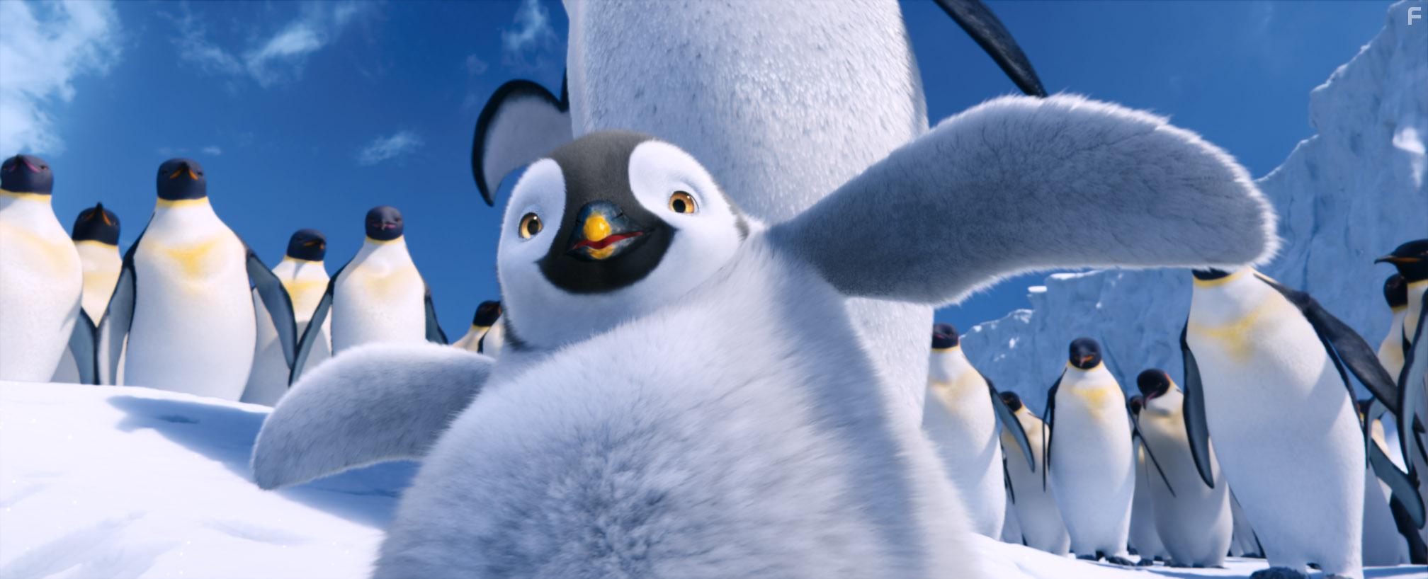 Делай ноги 2 #6