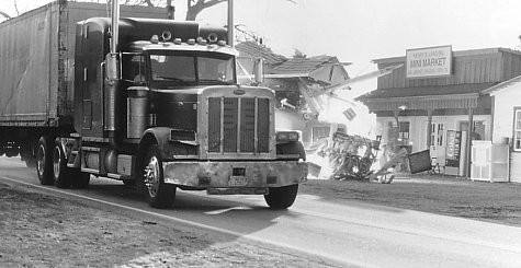 Чёрный пёc (1998)