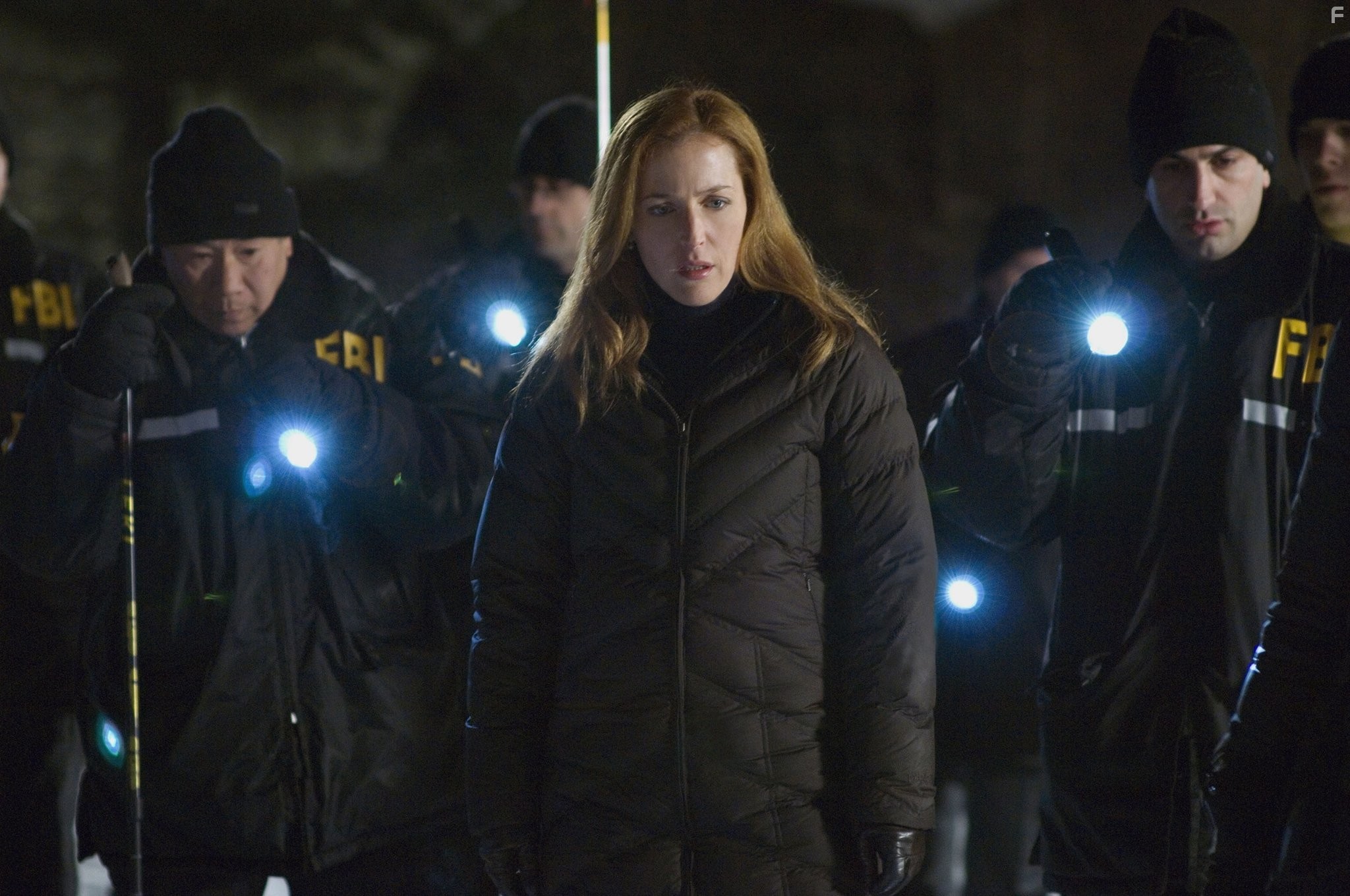 Gillian Anderson in Секретные материалы: Хочу верить (2008)