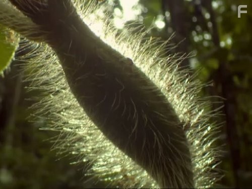 Жизнь в микромире (2005)