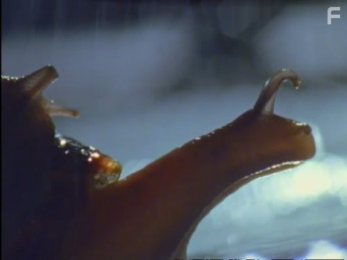 Жизнь в микромире (2005)