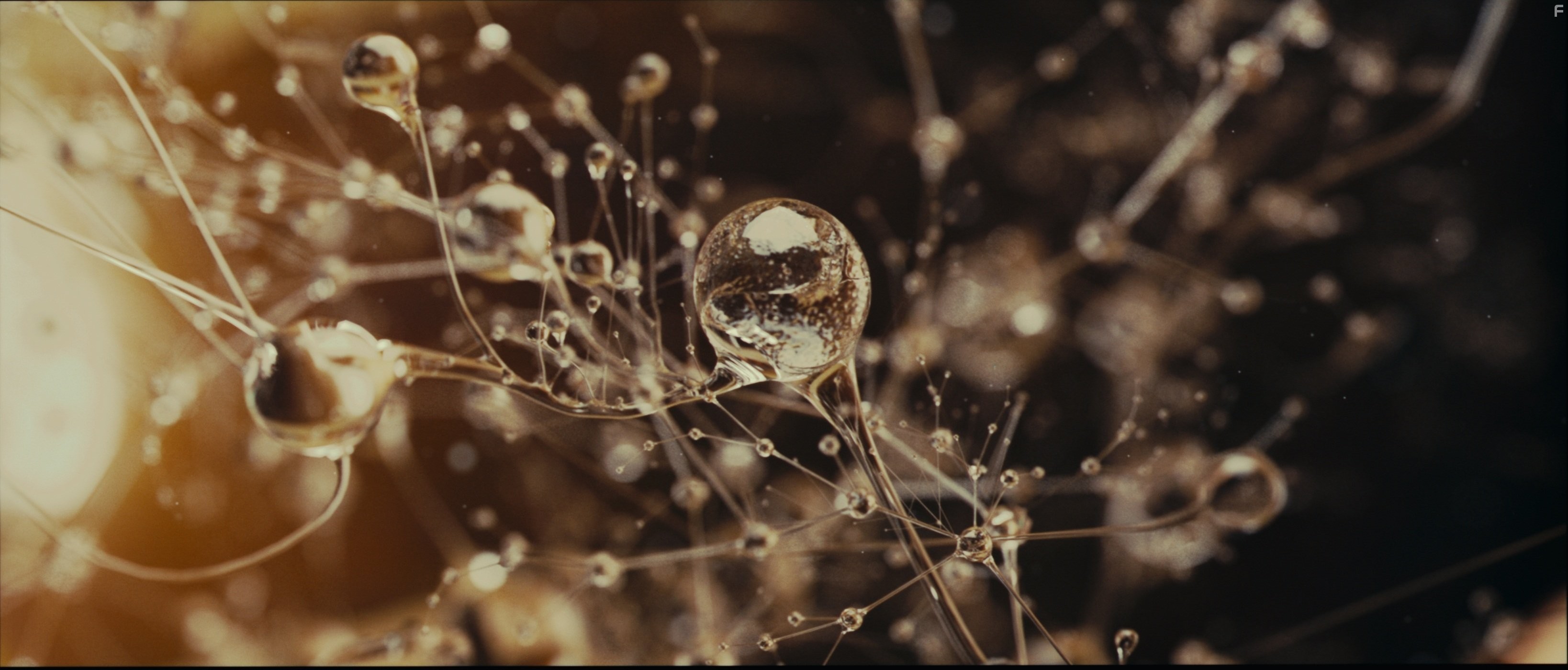 Ева: Искусственный разум (2011)