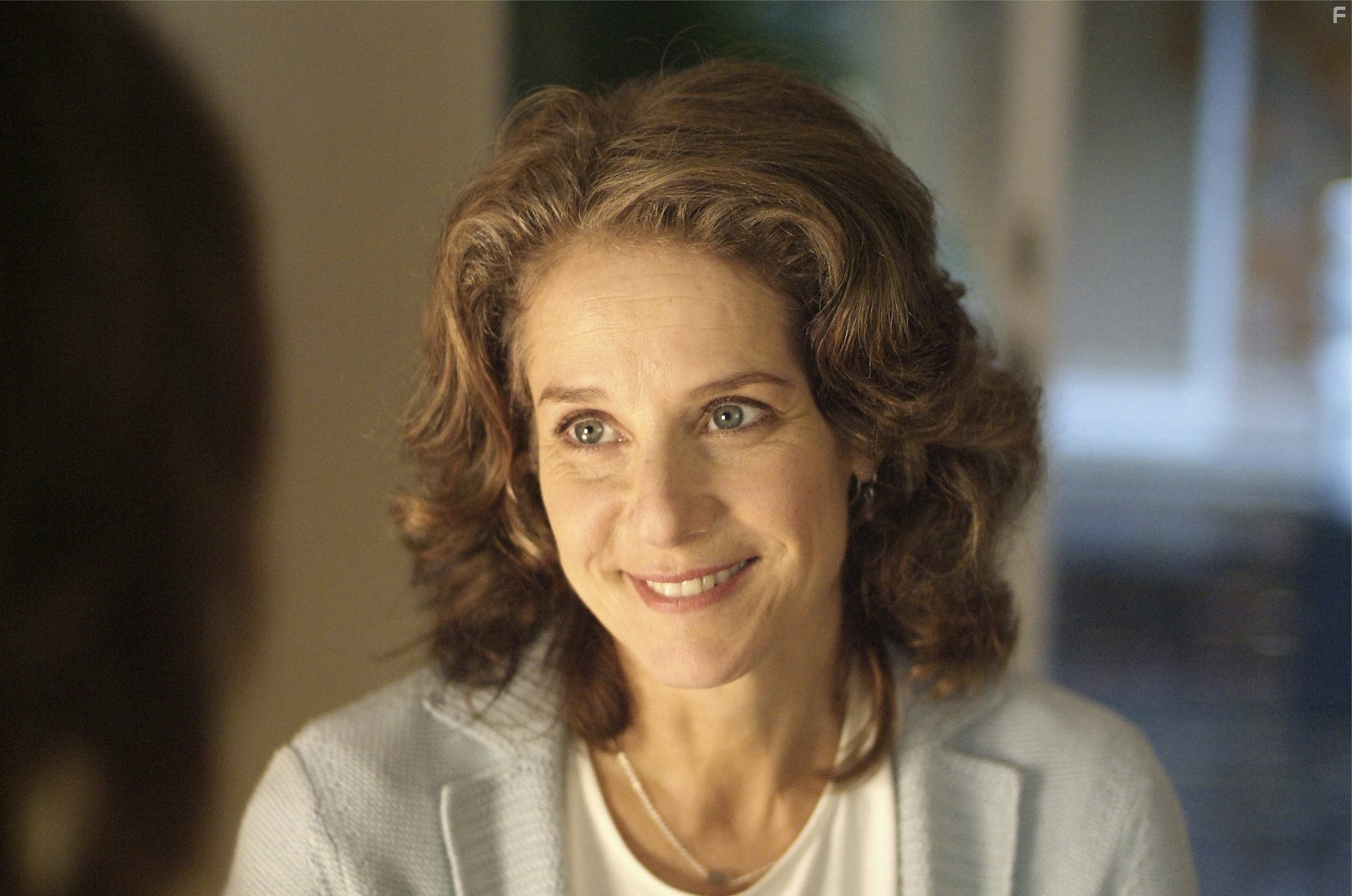 Debra Winger in Рэйчел выходит замуж (2008)