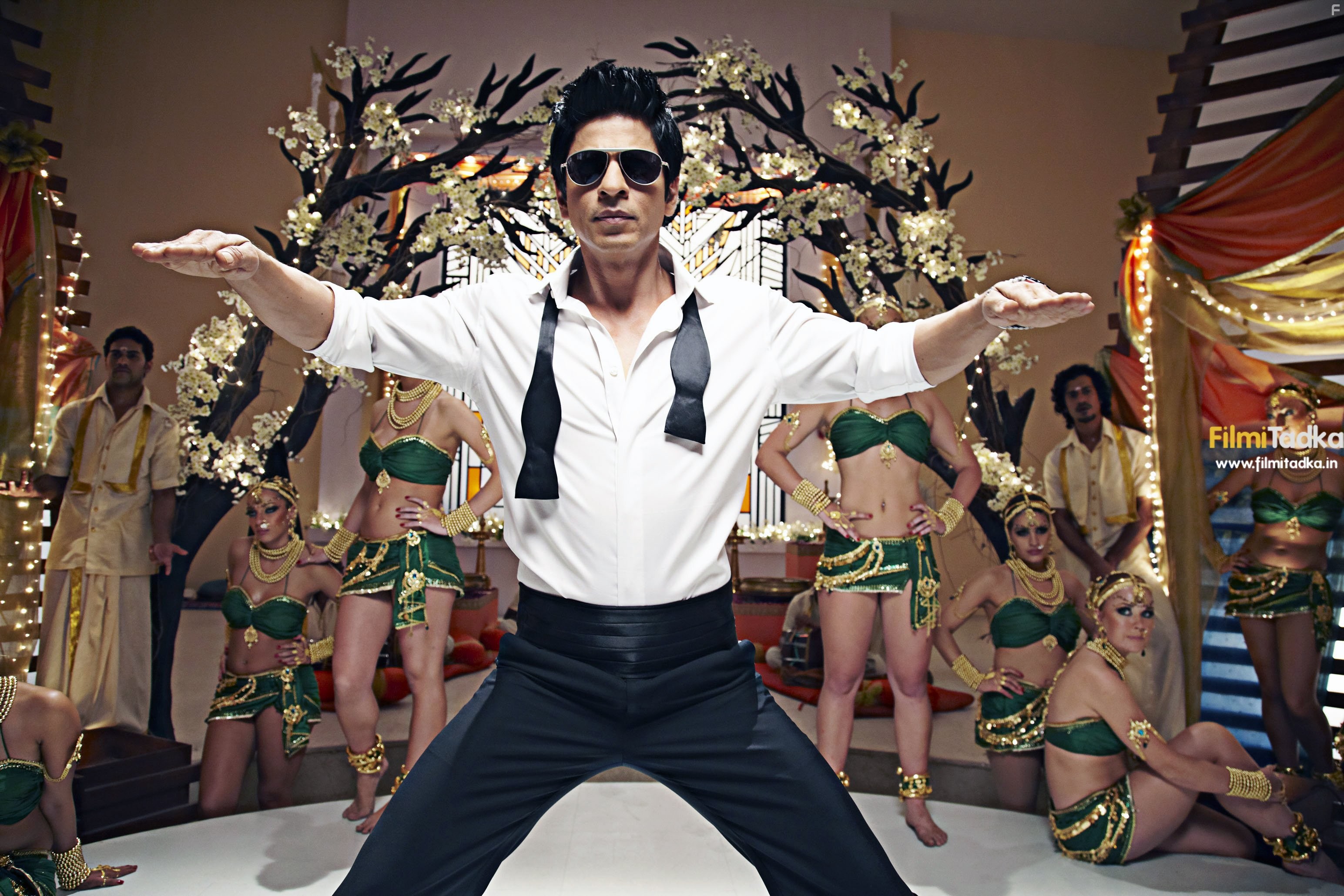 Shah Rukh Khan in Случайный доступ (2011)