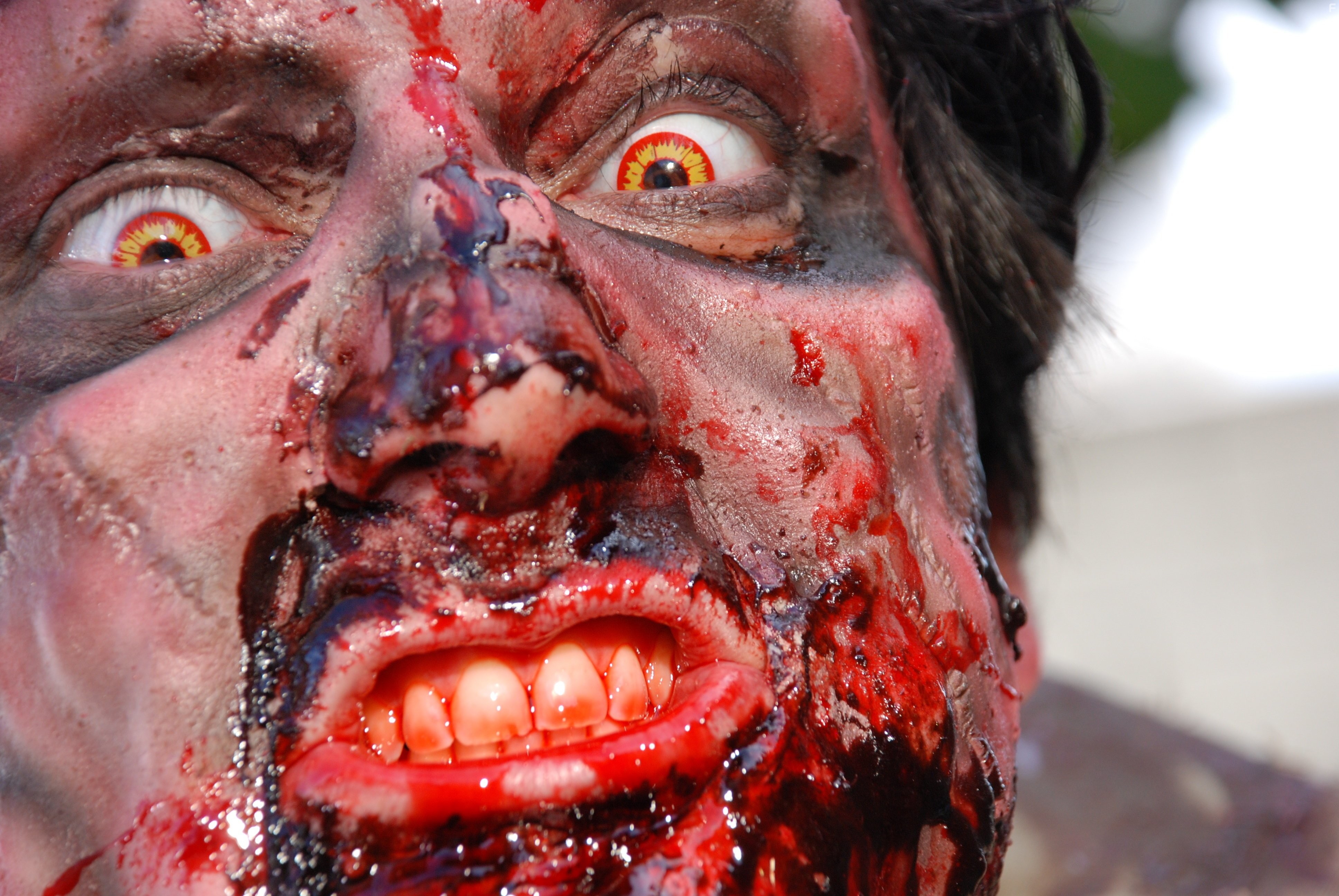 Silent Night, Zombie Night (2009)