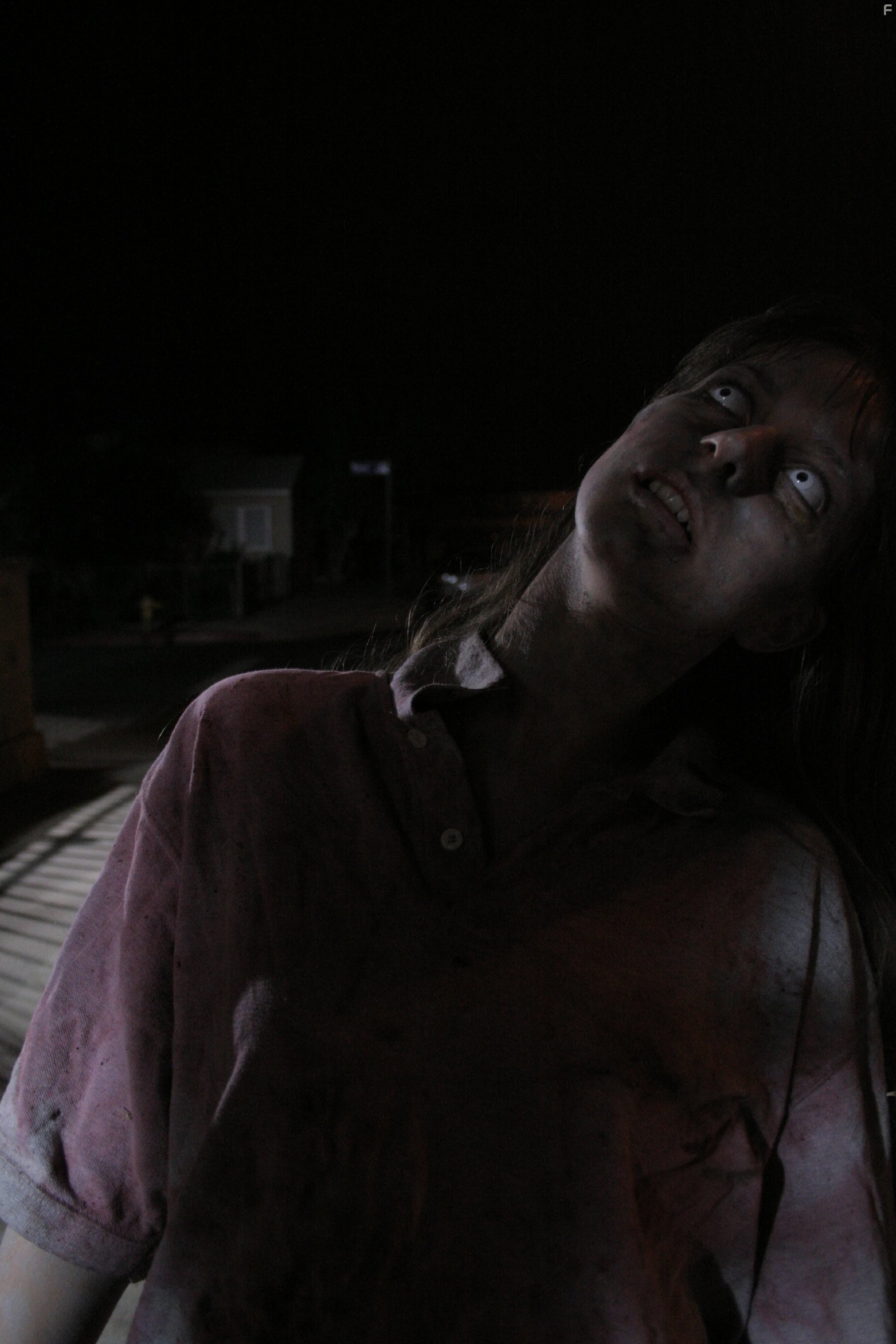 Silent Night, Zombie Night (2009)