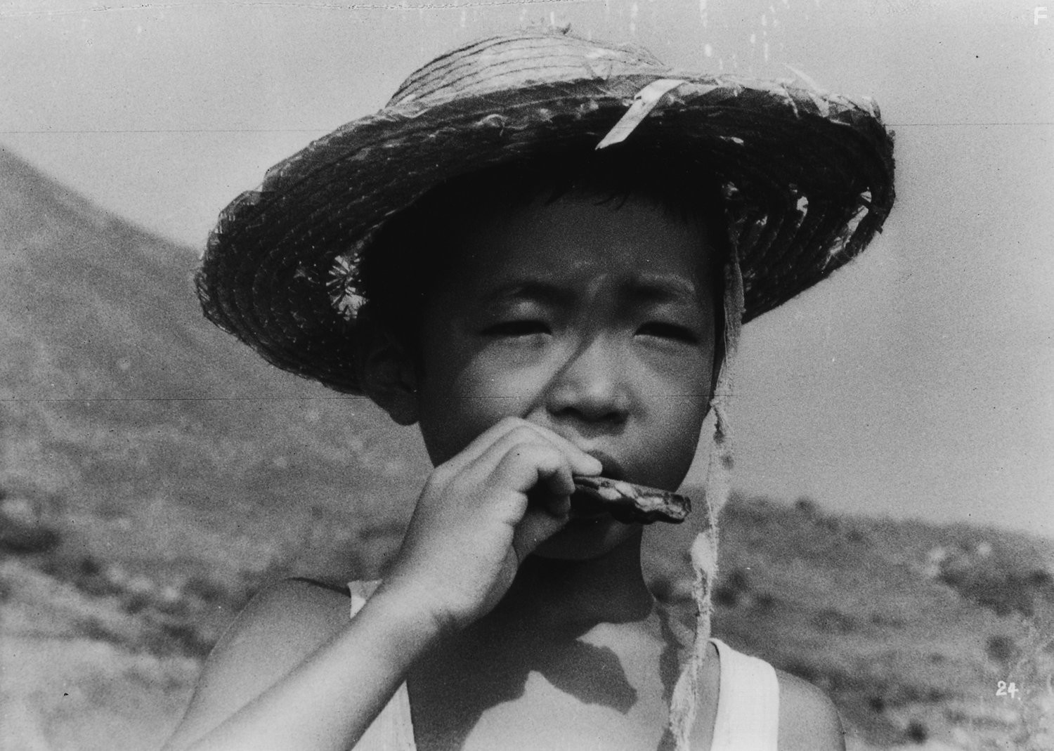 Западня (1962)