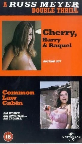 How Much Loving Does a Normal Couple Need? (1967)