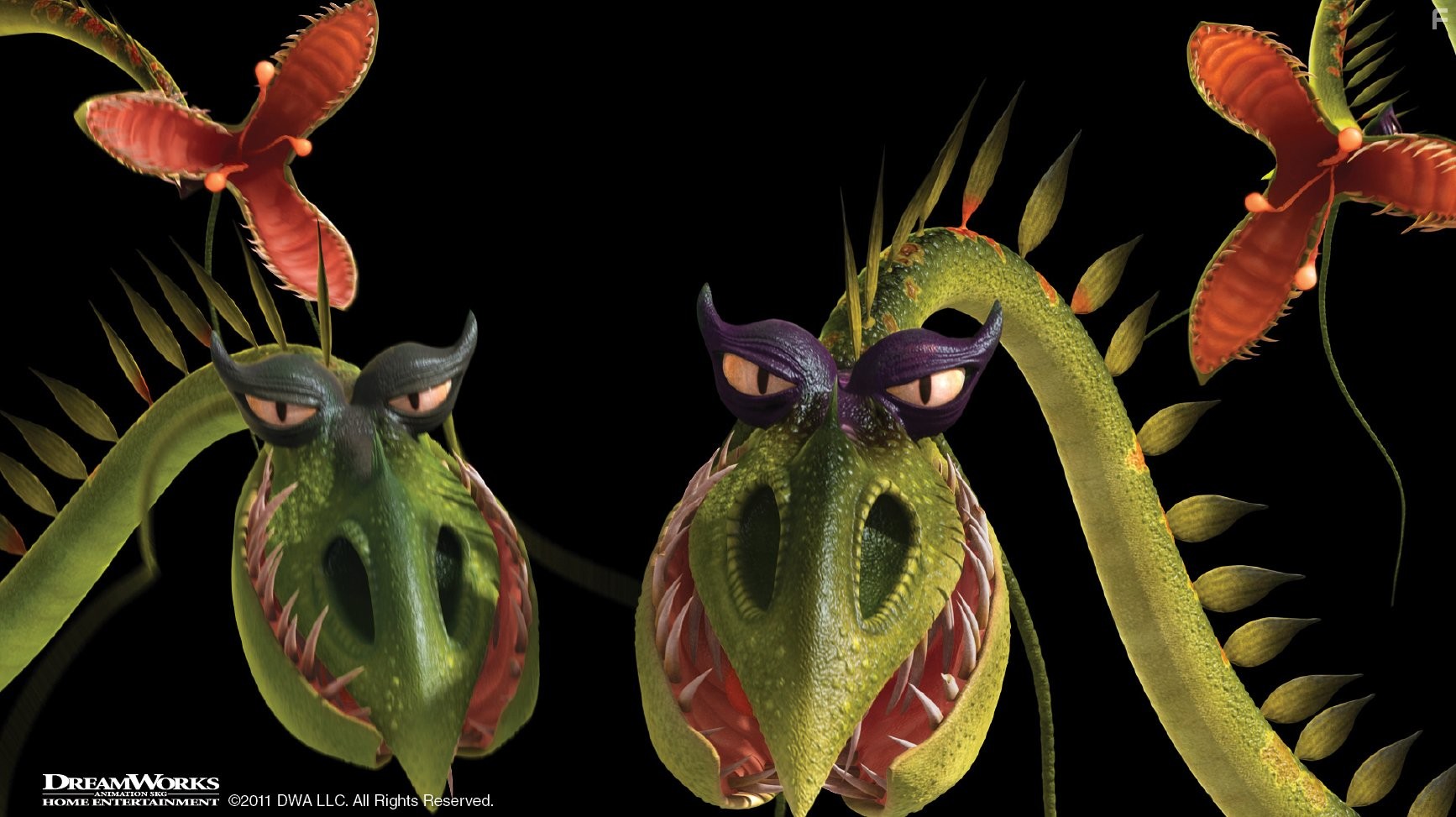 Книга драконов (2011)