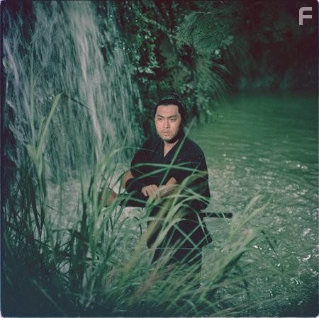 Wu hu tu long (1970)