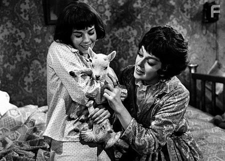 "Gypsy" Natalie Wood and Rosalind Russell 1962 Warner Bros.