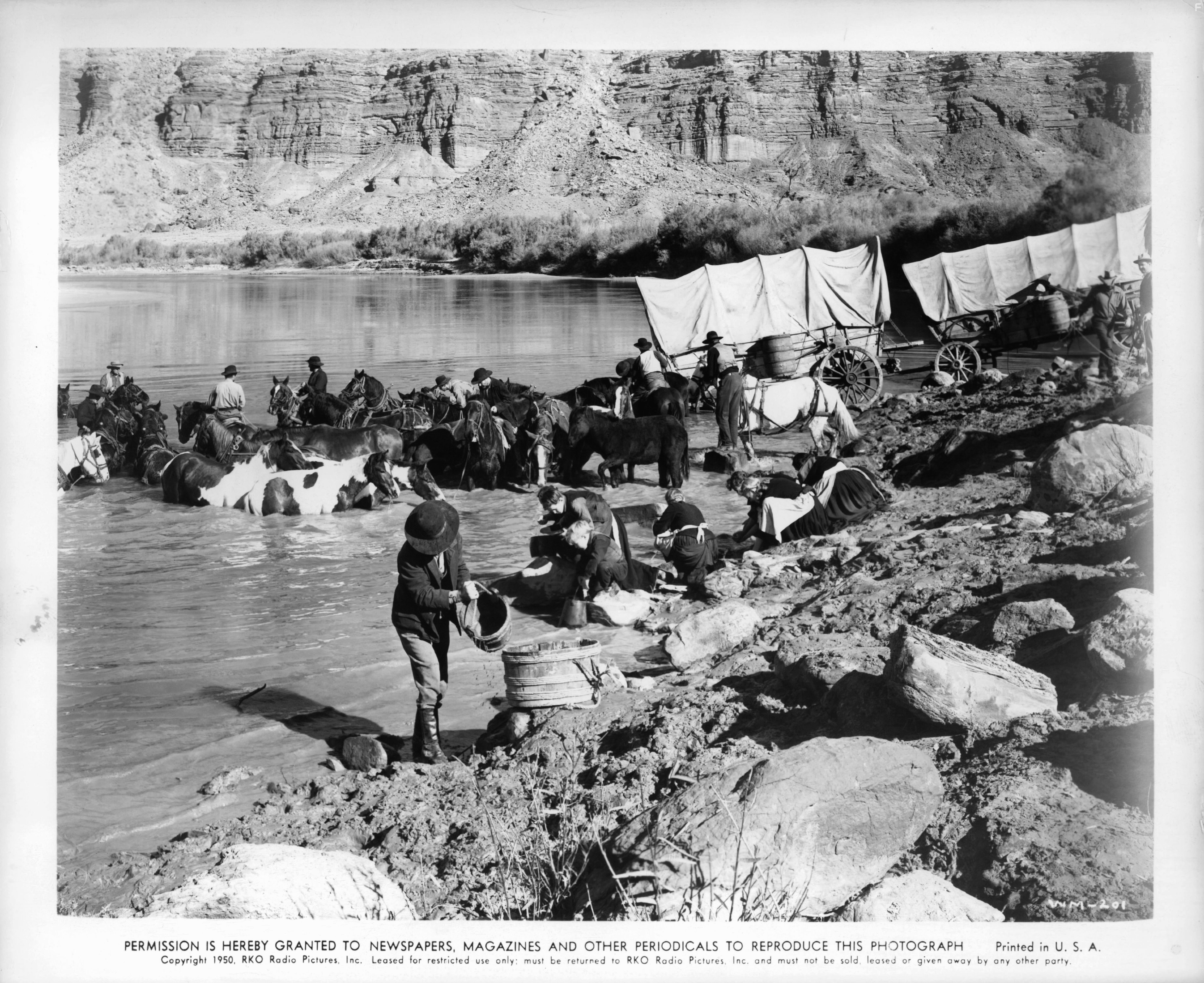 Погонщик фургона (1950)