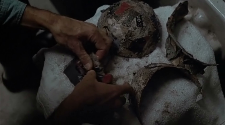 Алькатрас #8