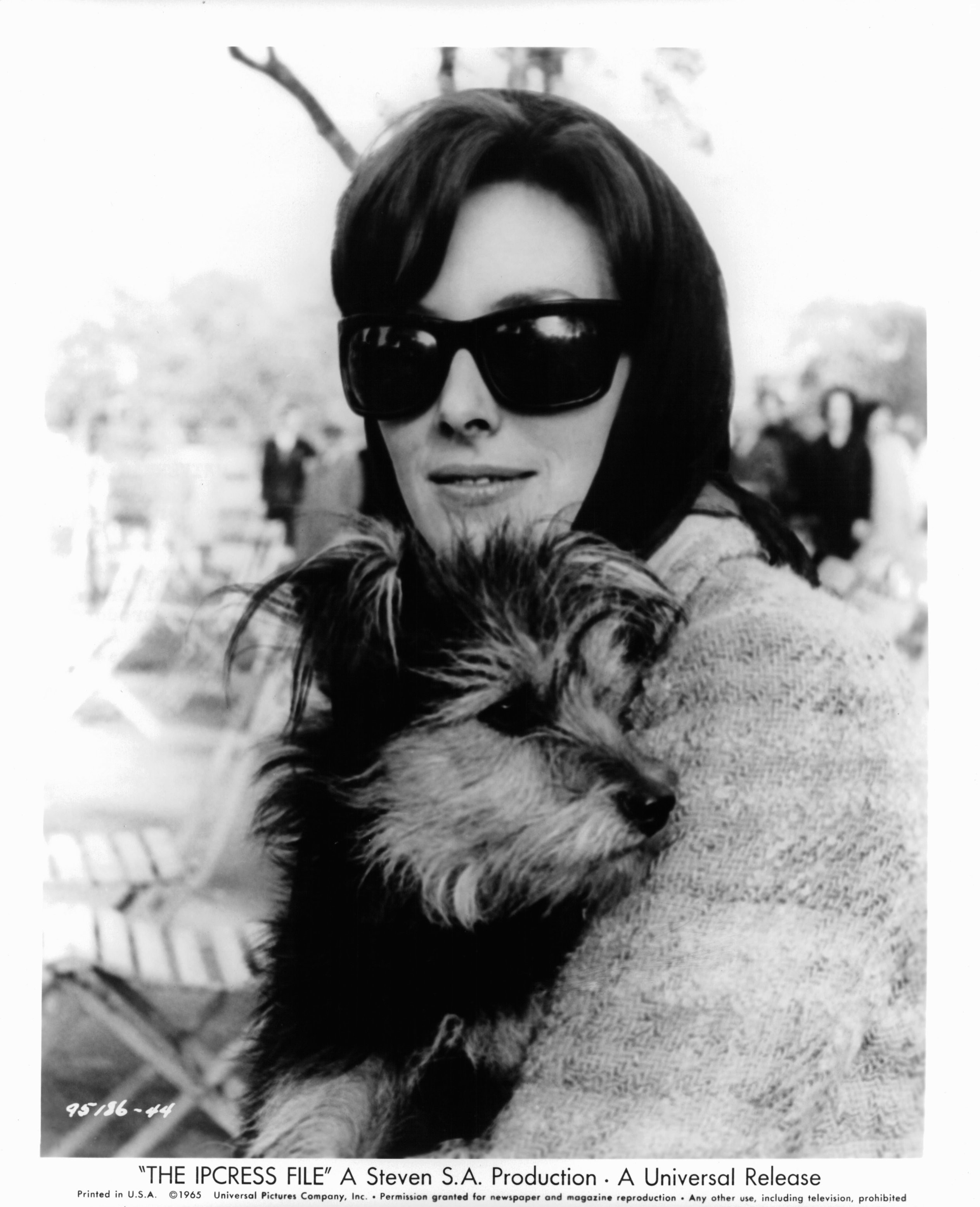 Sue Lloyd in Досье Ипкресс (1965)