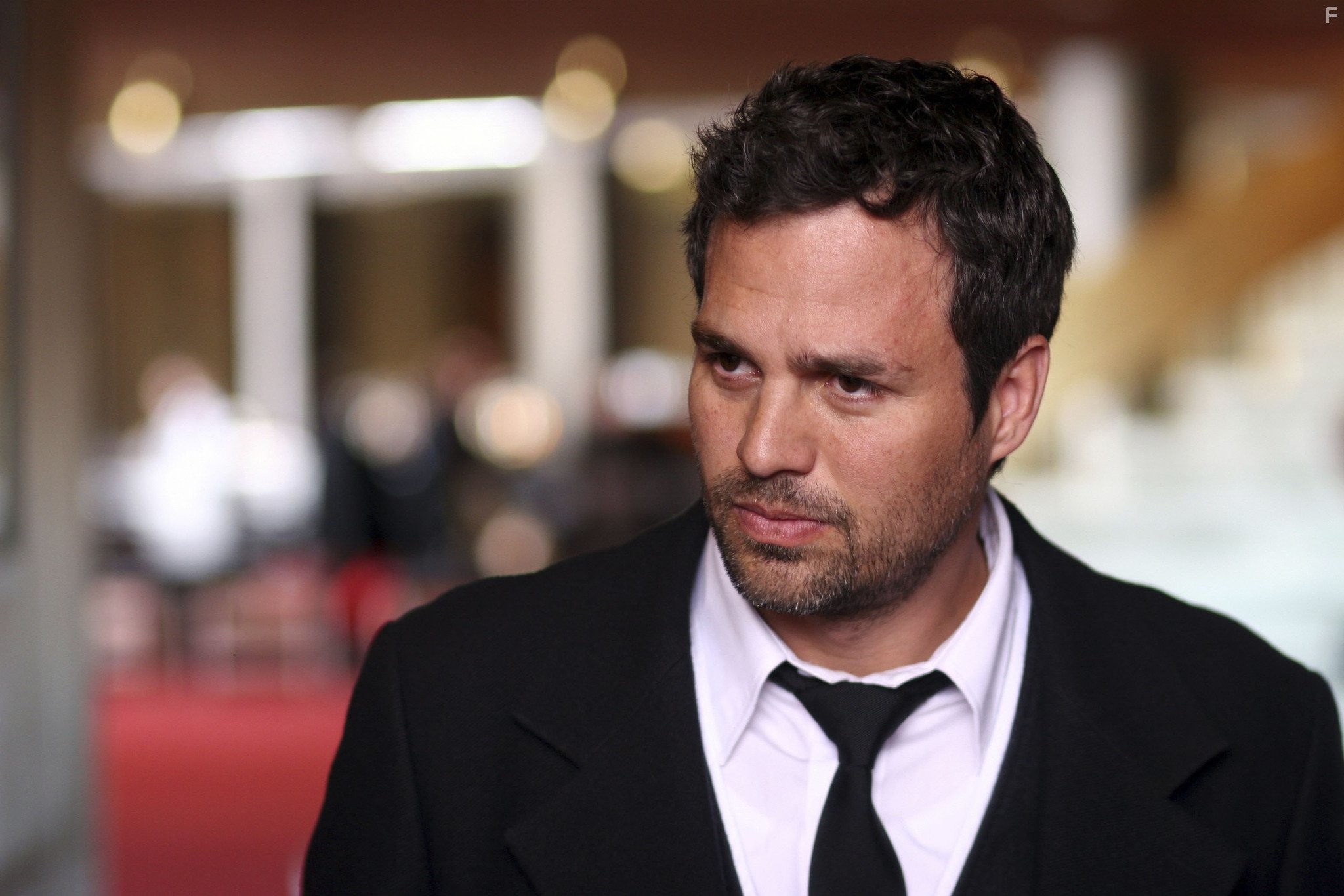 Mark Ruffalo in Братья Блум (2008)
