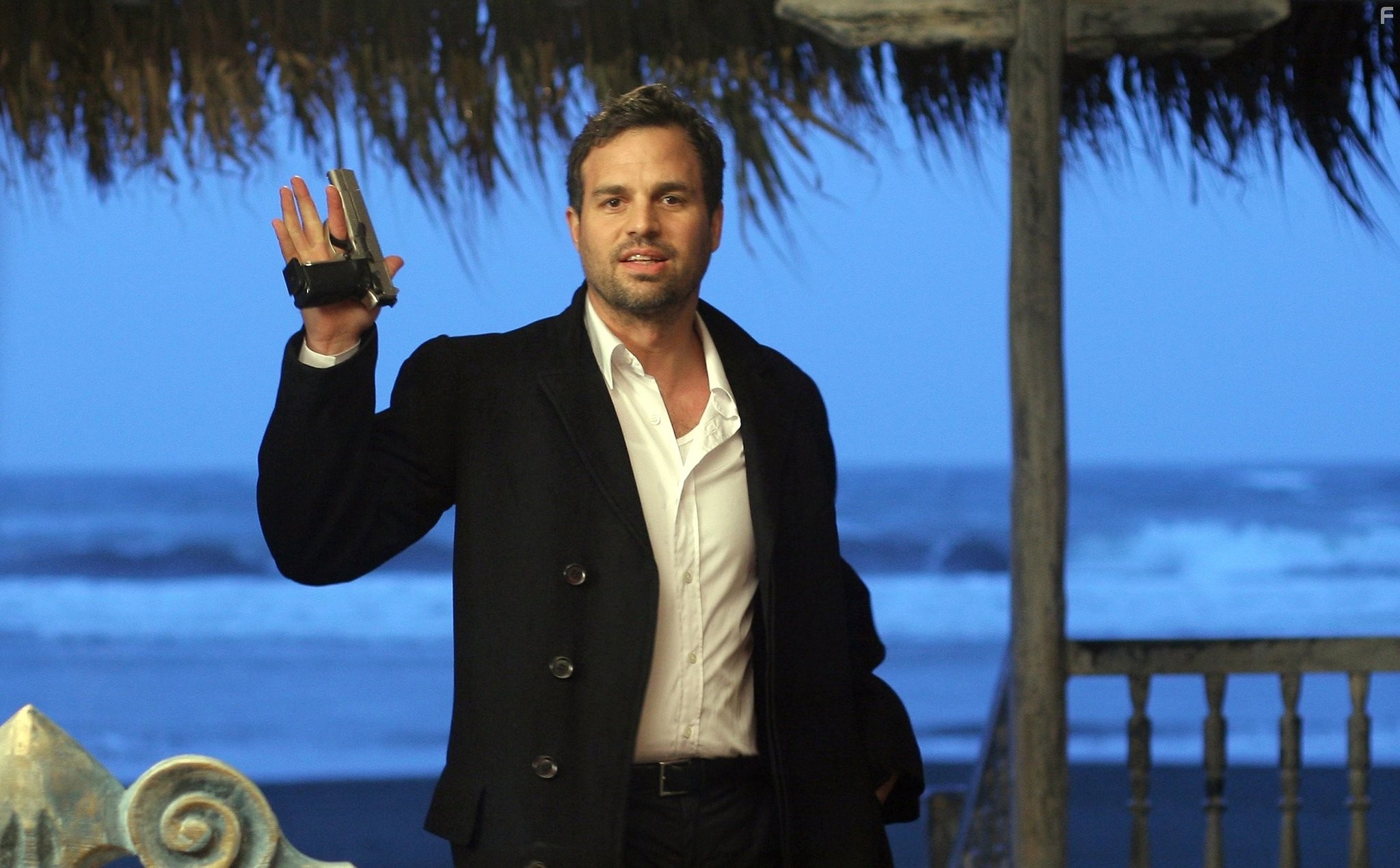 Mark Ruffalo in Братья Блум (2008)