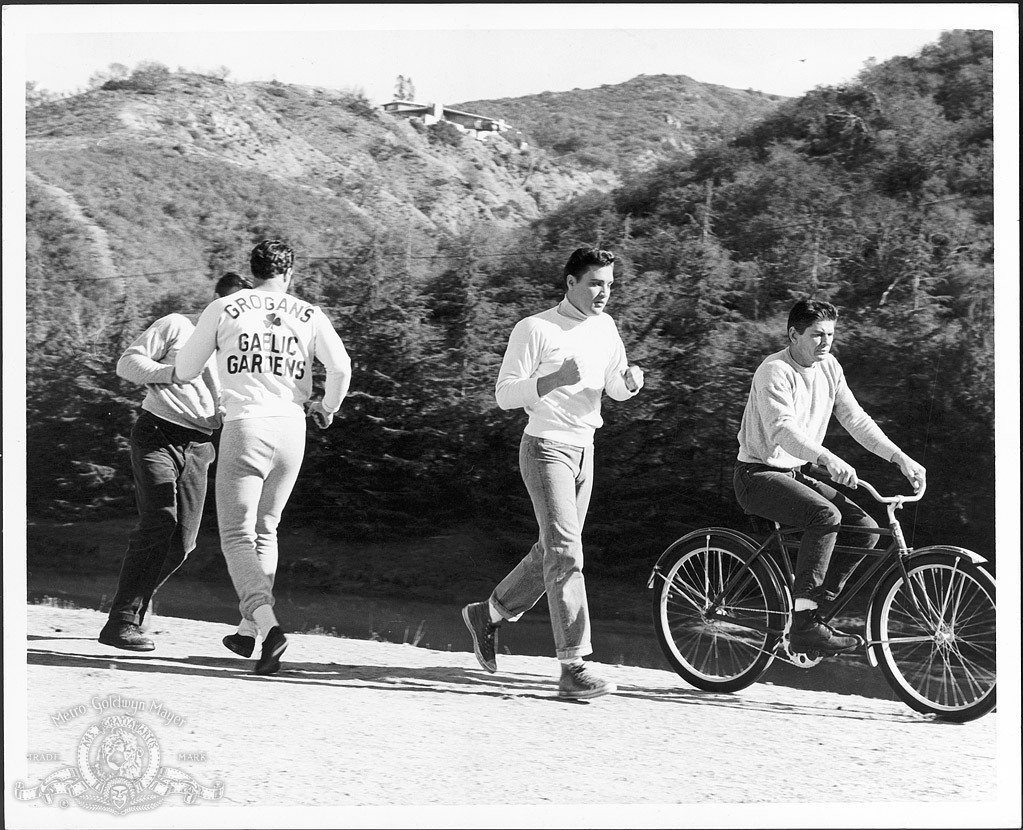 Elvis Presley and Charles Bronson in Малыш Галахад (1962)