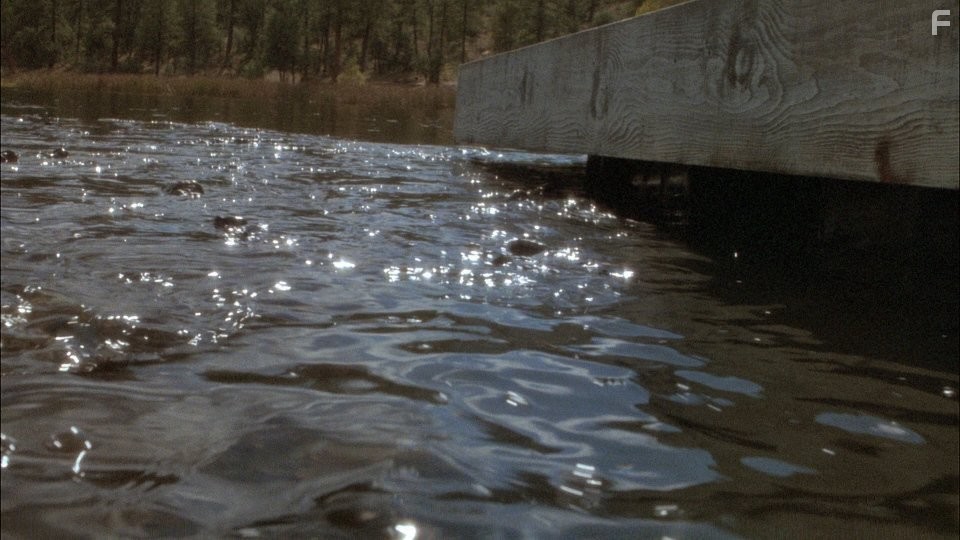 Калейдоскоп ужасов II (1987)