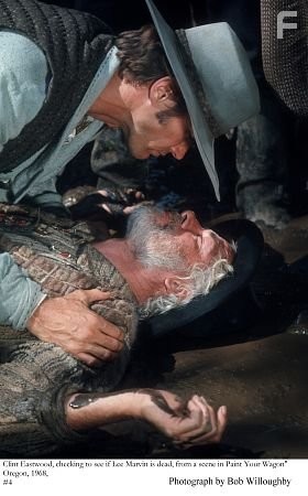 Золото Калифорнии