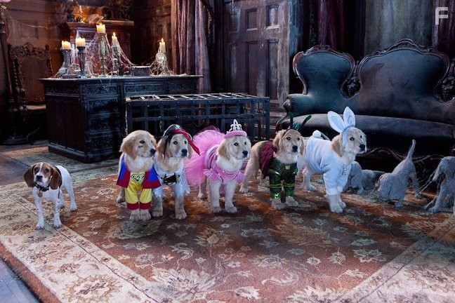 Мiстичнi пригоди цуценят (2011)