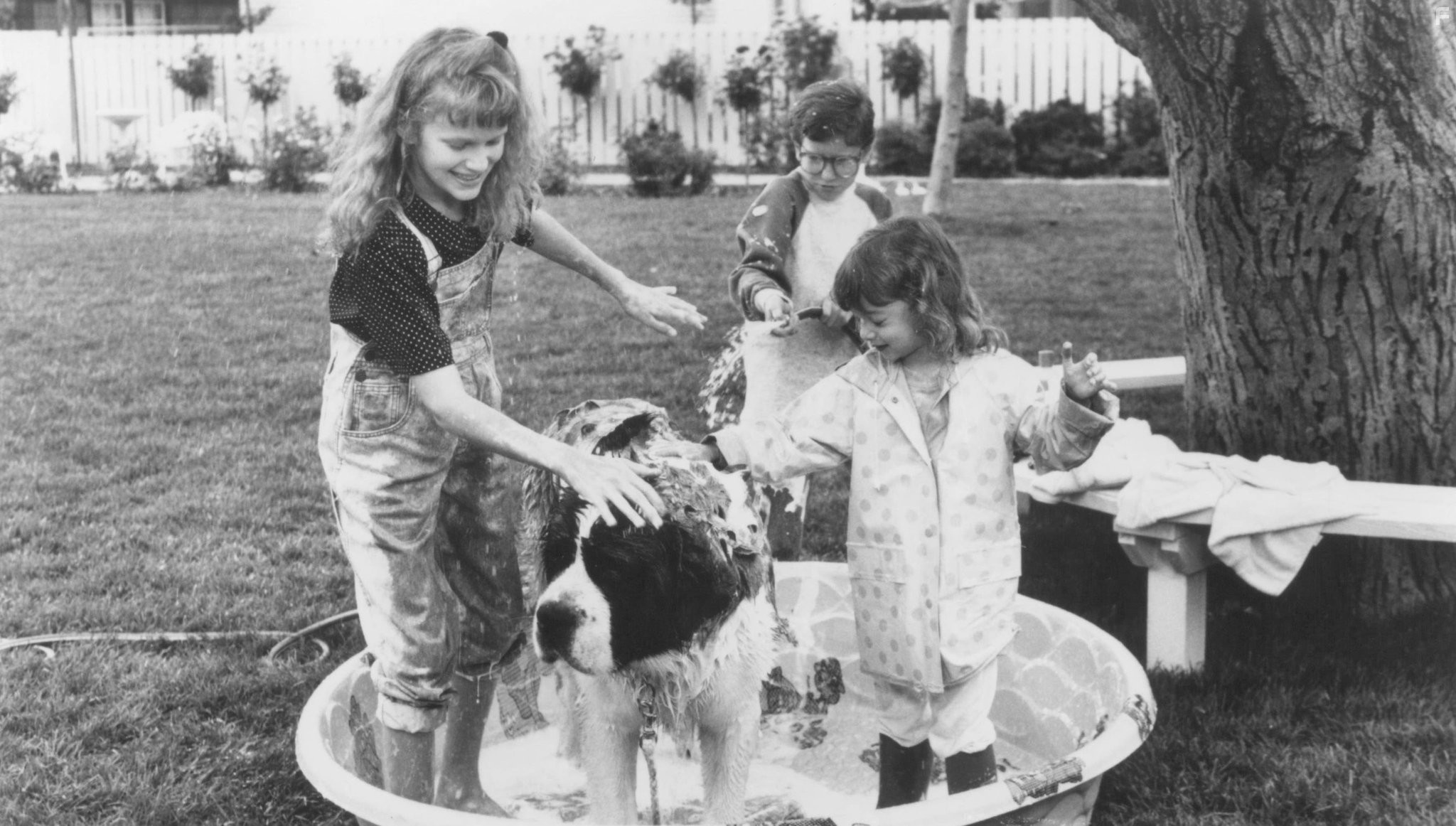 Nicholle Tom, Christopher Castile, and Sarah Rose Karr in Бетховен (1992)