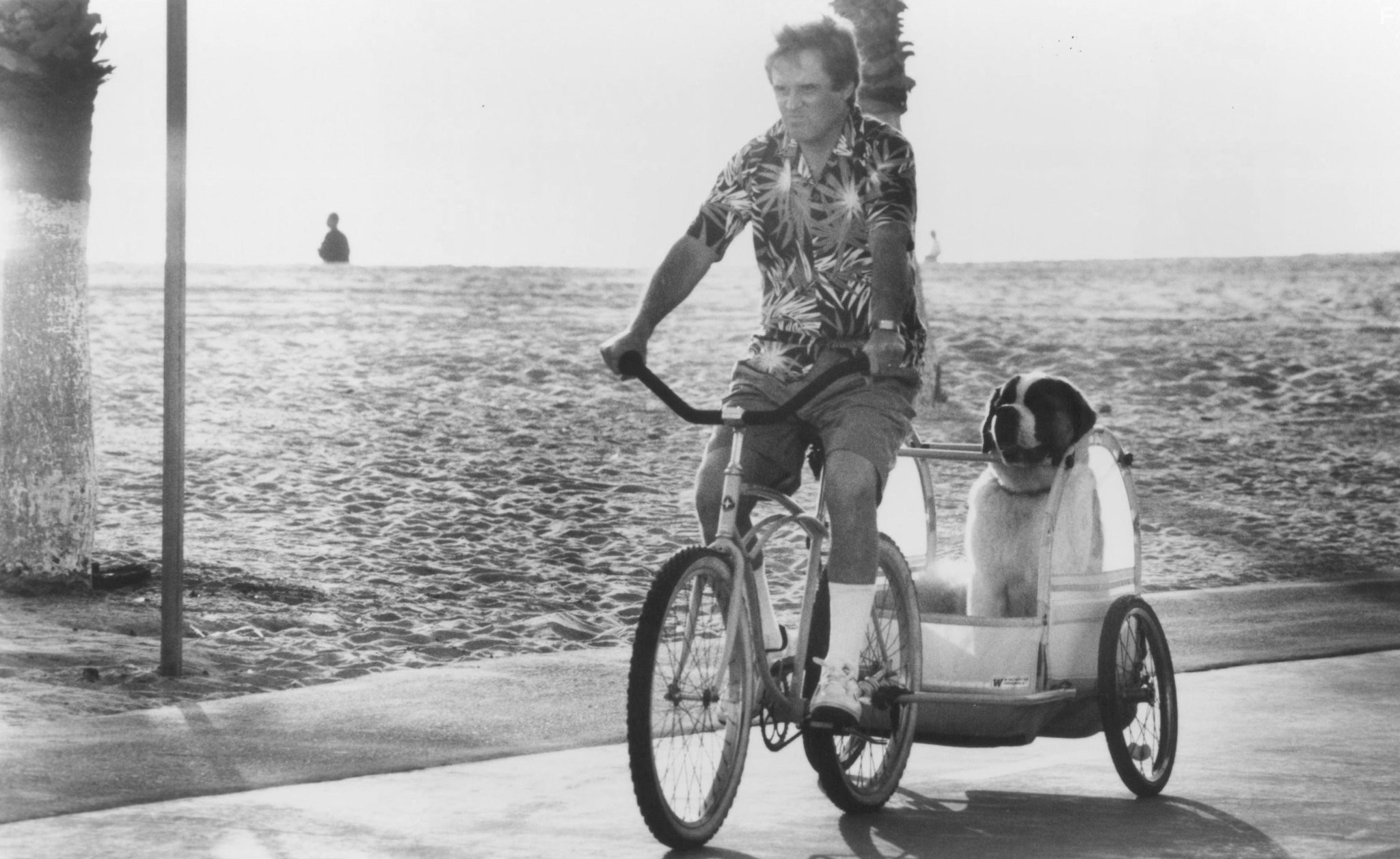 Charles Grodin in Бетховен (1992)