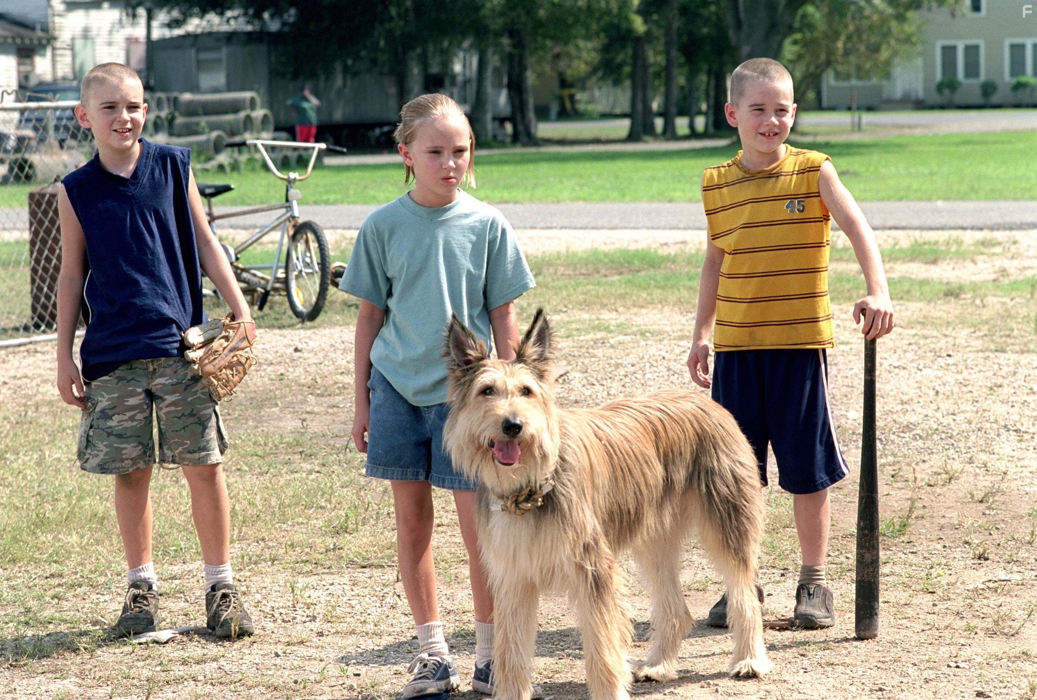 Luke Benward, Nick Price, and AnnaSophia Robb in Благодаря Винн-Дикси (2005)