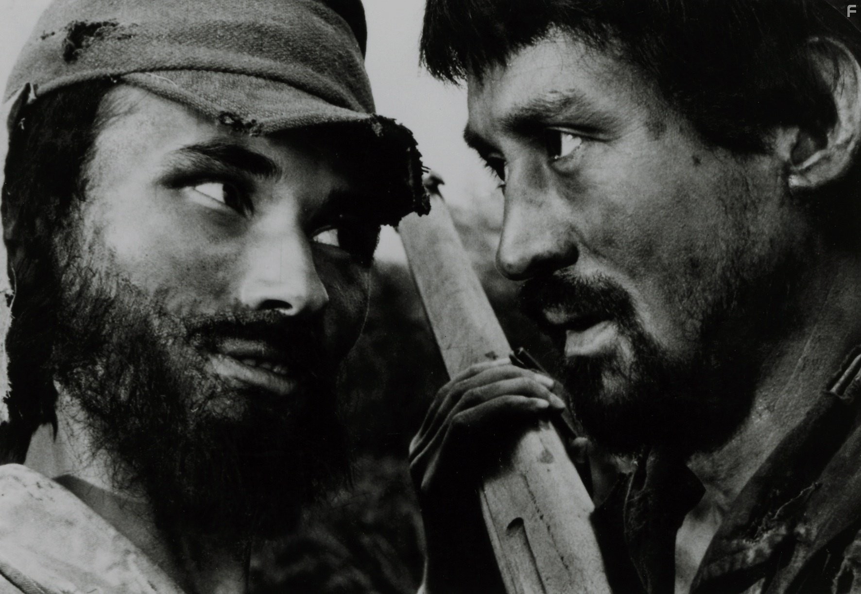 Полевые огни (1959)