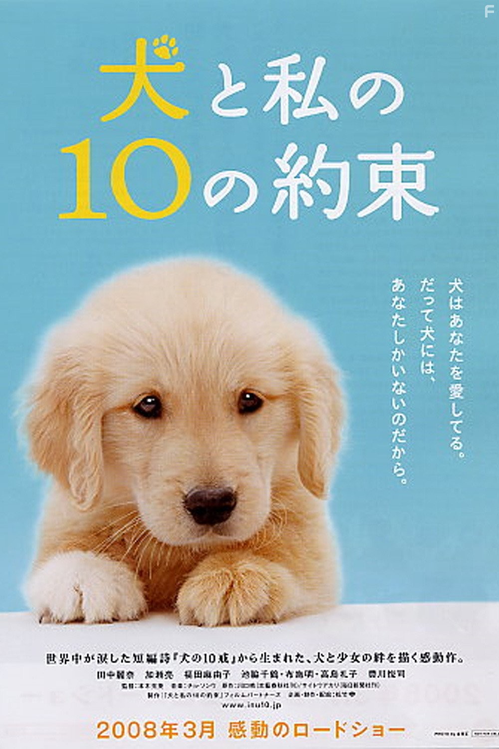 10 обещаний моей собаке