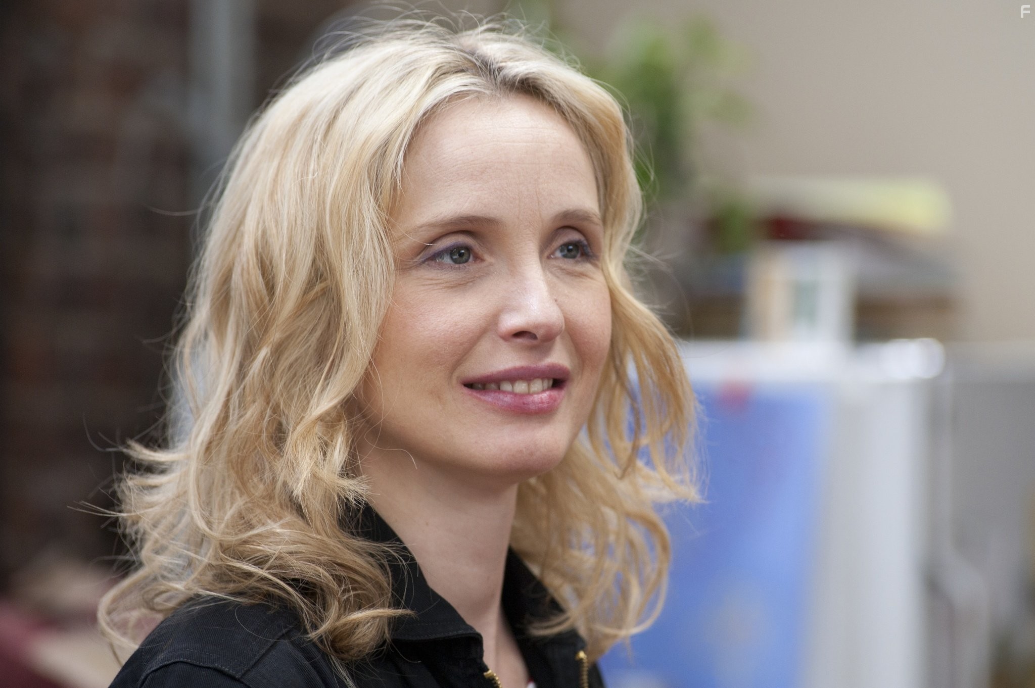 Julie Delpy in 2 дня в Нью-Йорке (2012)