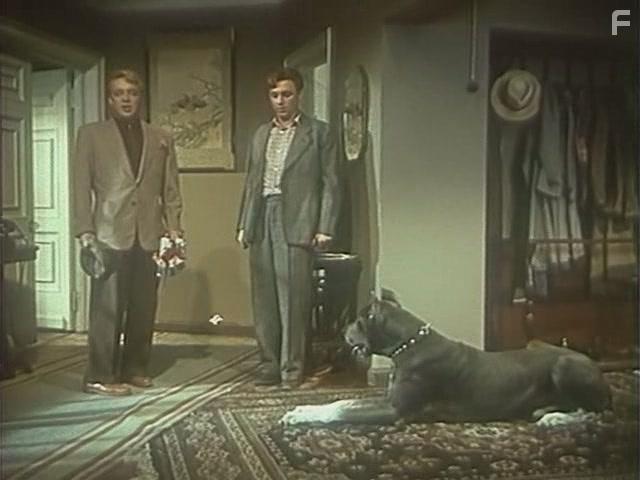 Девушка без адреса