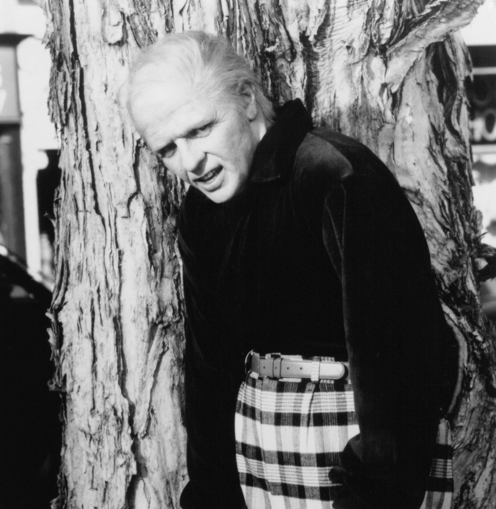 Thomas F. Wilson in Назад в будущее II (1989)