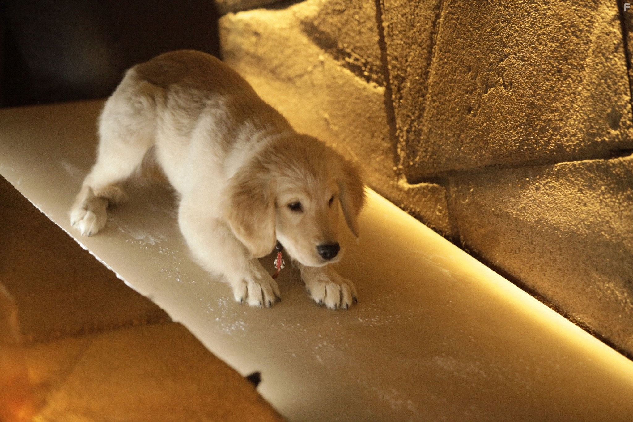 П'ятiрка шукачiв скарбiв (2012)