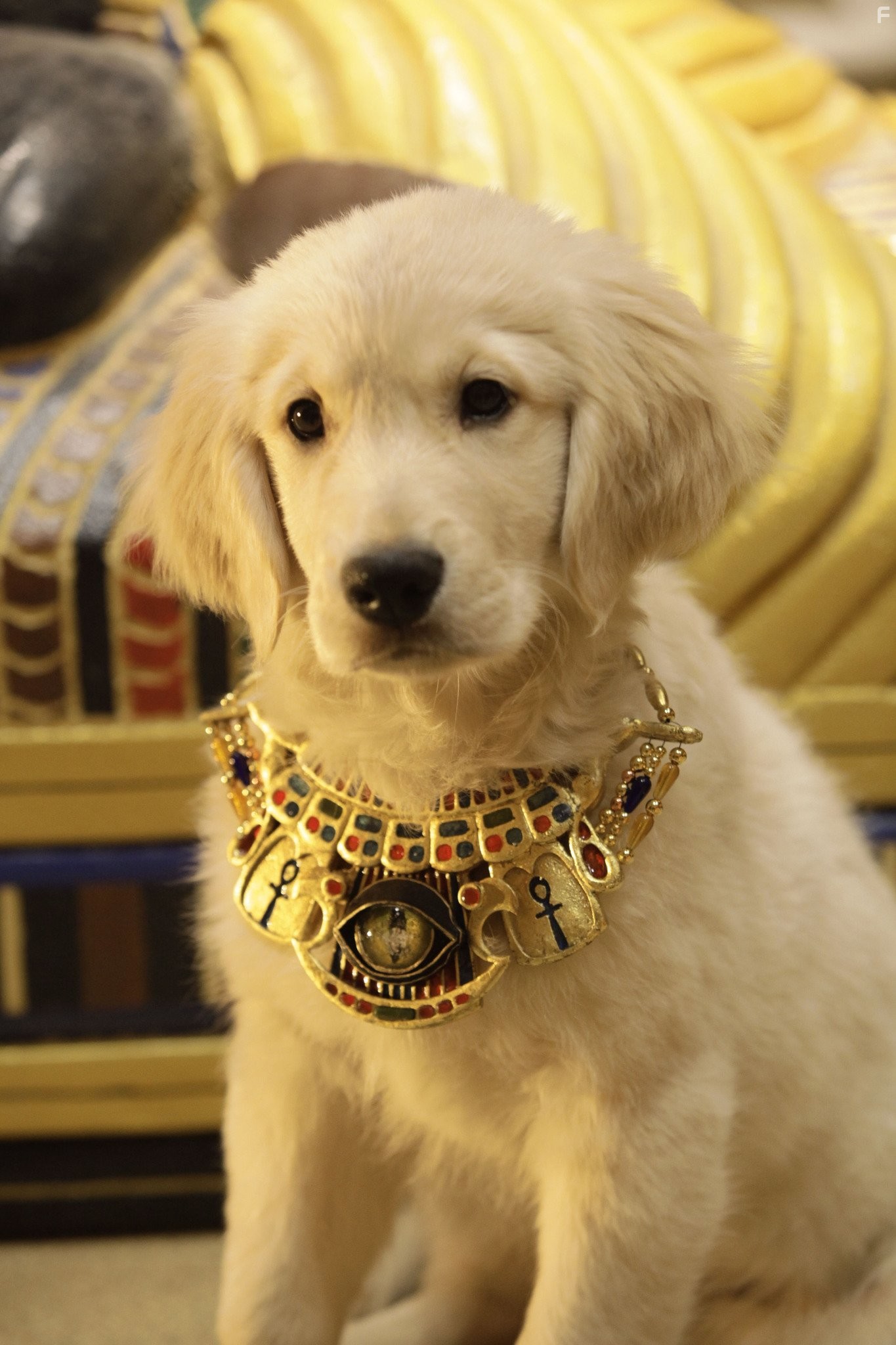 П'ятiрка шукачiв скарбiв (2012)