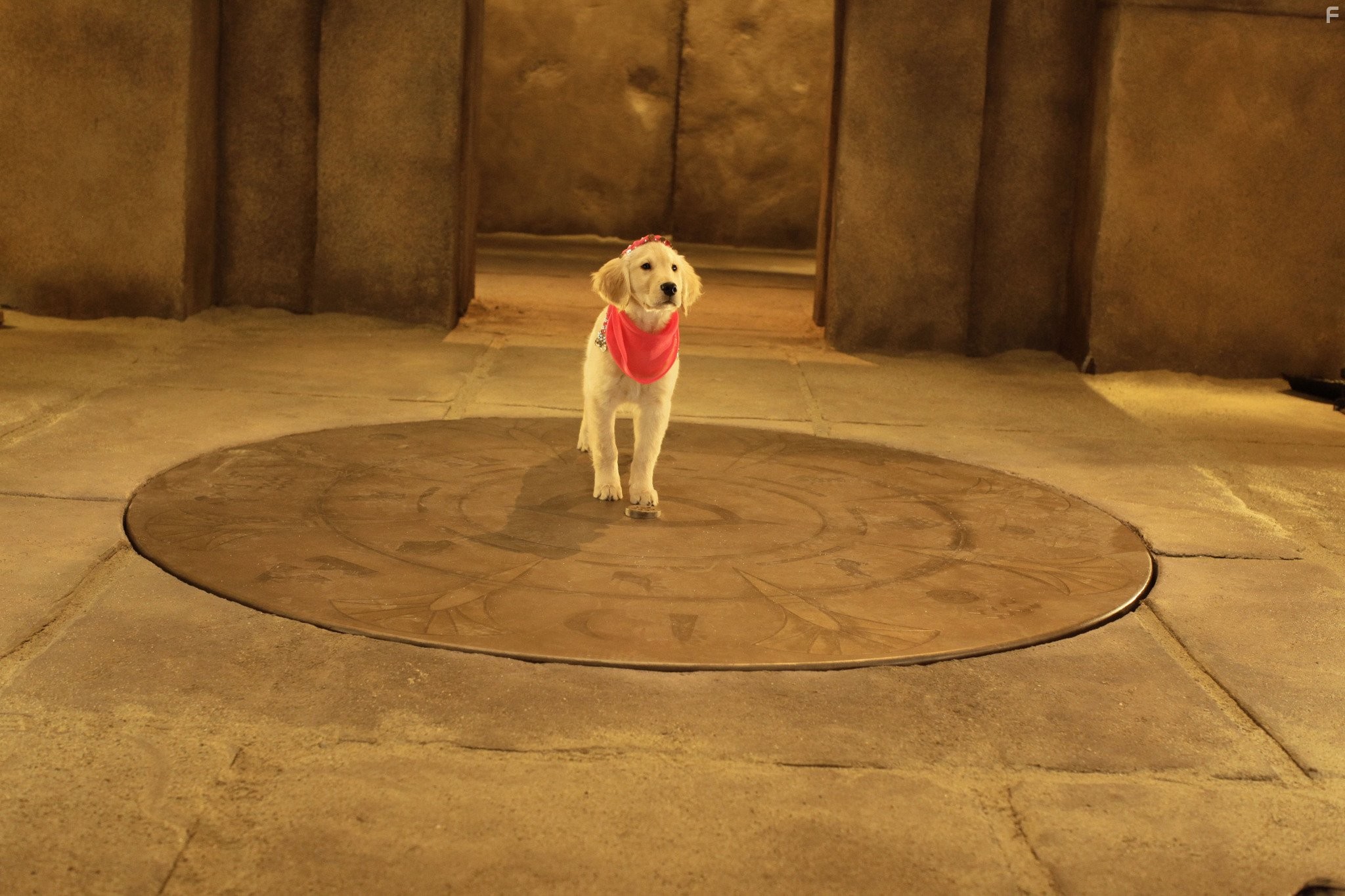 П'ятiрка шукачiв скарбiв (2012)