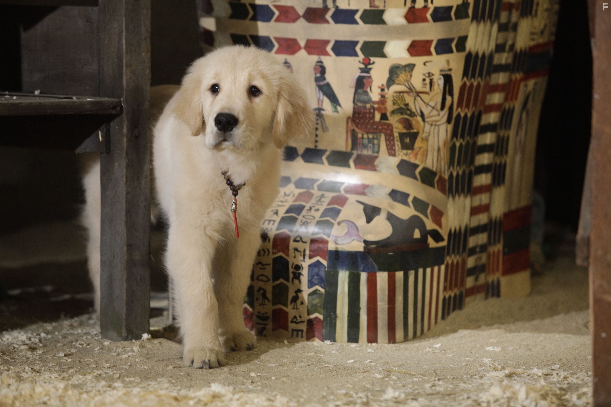 П'ятiрка шукачiв скарбiв (2012)