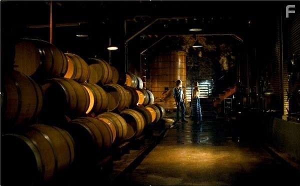 Шоковый эффект (2008)