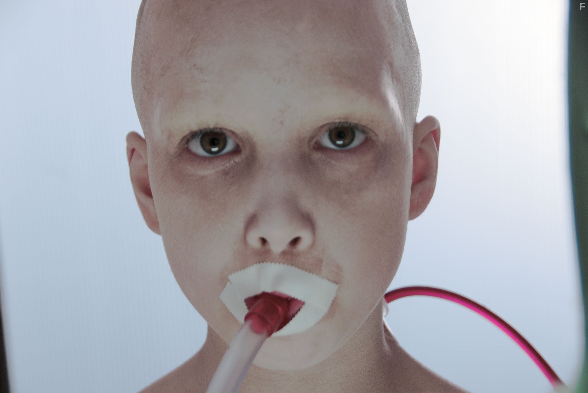 Abbey Thickson in Разделитель (2011)