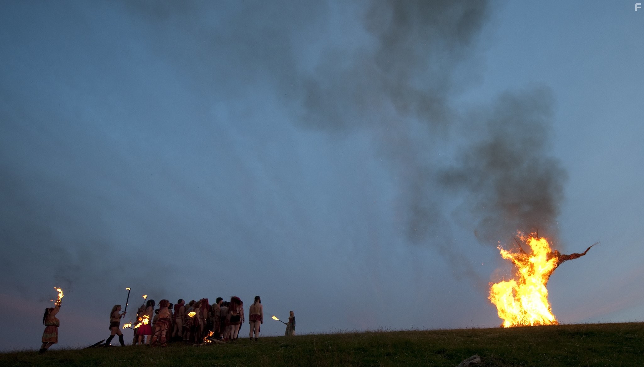 Плетеное дерево (2011)