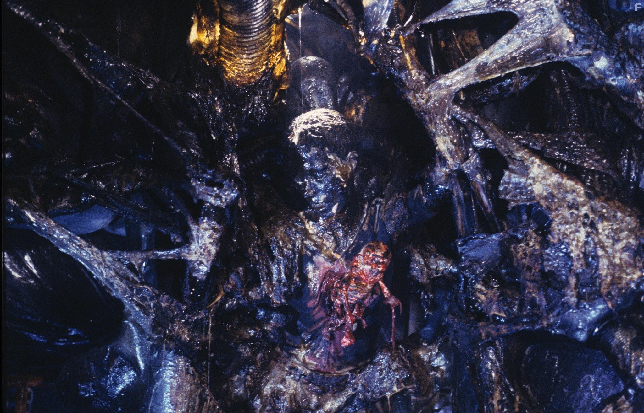 Barbara Coles in Чужиe (1986)