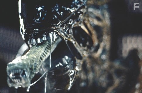 Bolaji Badejo in Чужoй (1979)