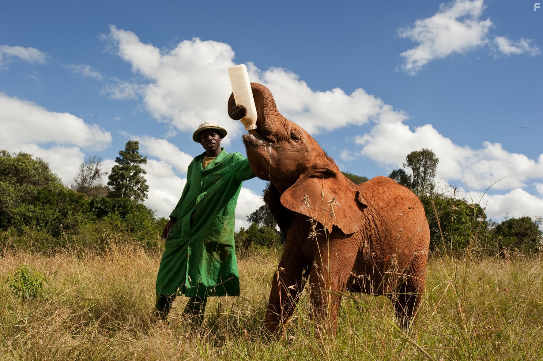 Рожденные на воле (2011)