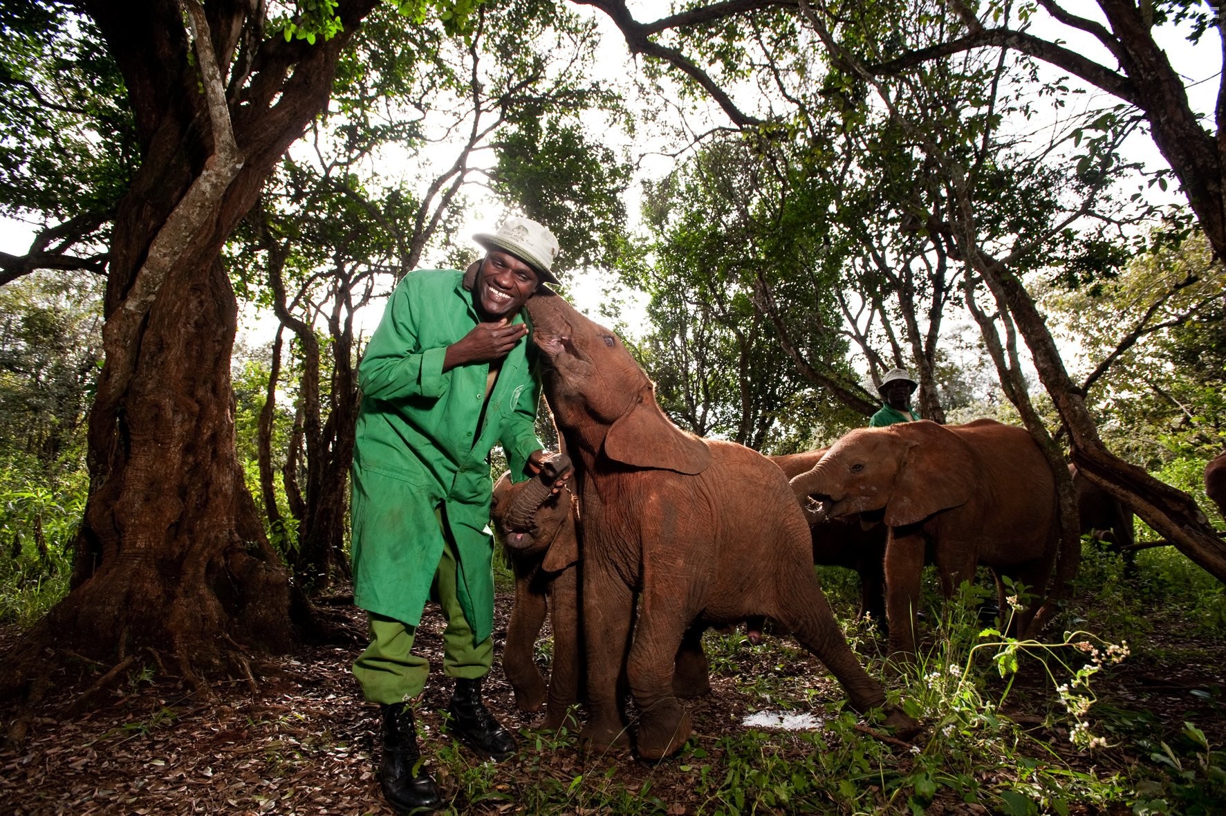 Рожденные на воле (2011)
