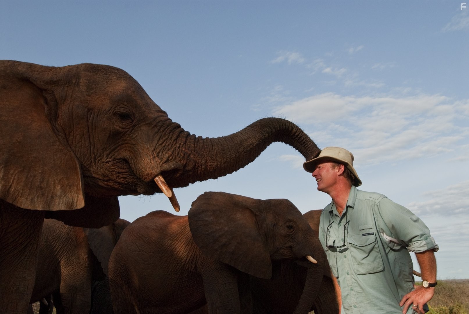 Рожденные на воле (2011)