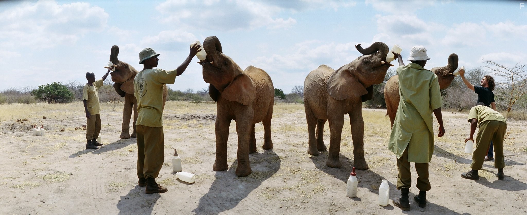 Рожденные на воле (2011)