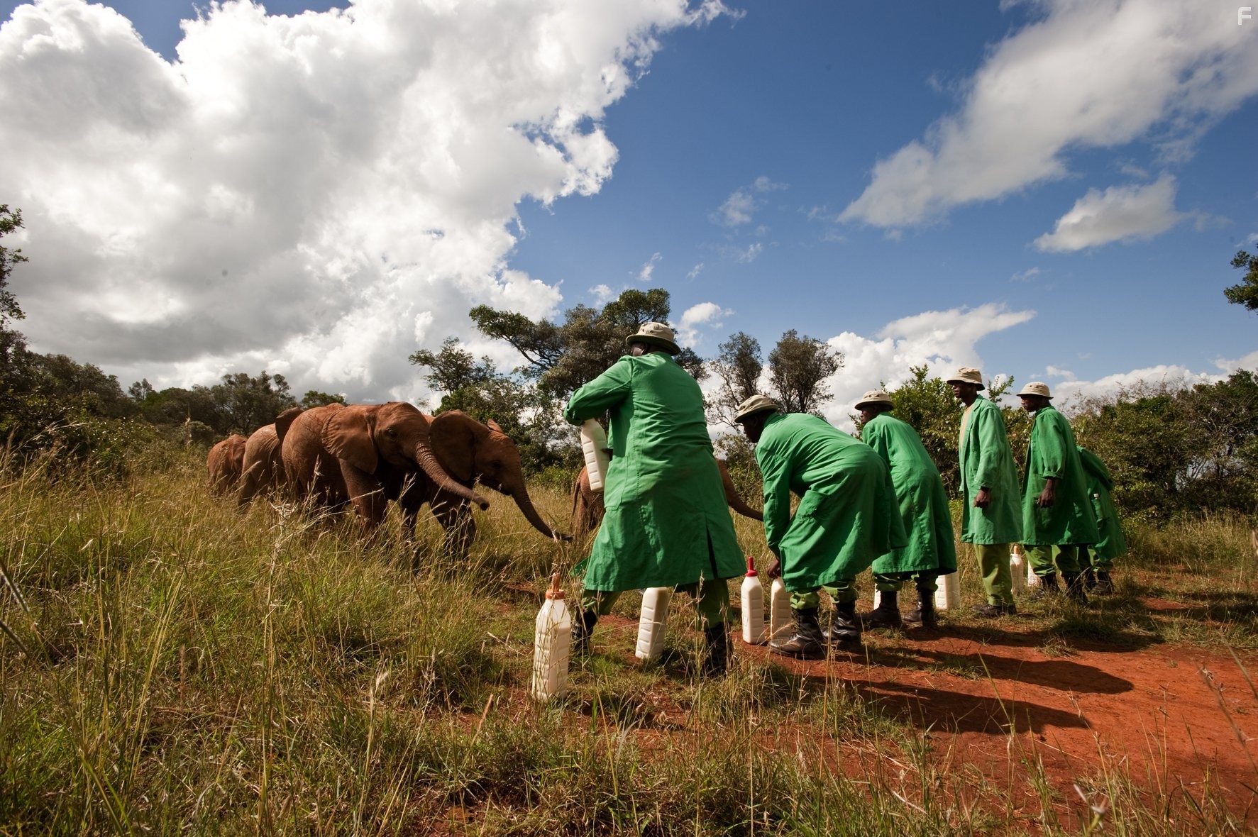 Рожденные на воле (2011)