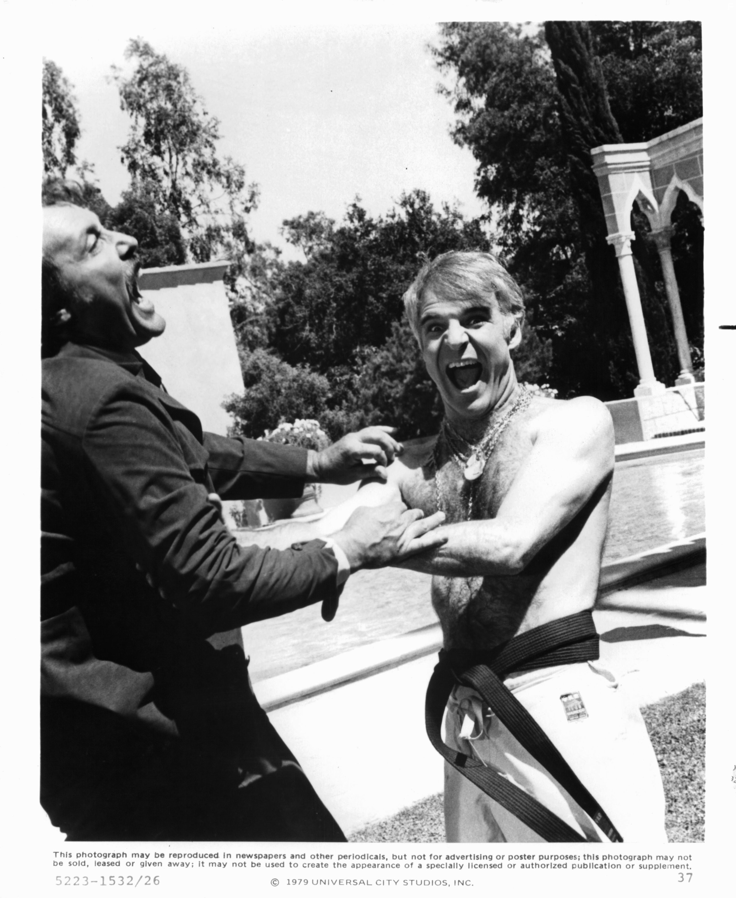 Steve Martin in Придурок (1979)