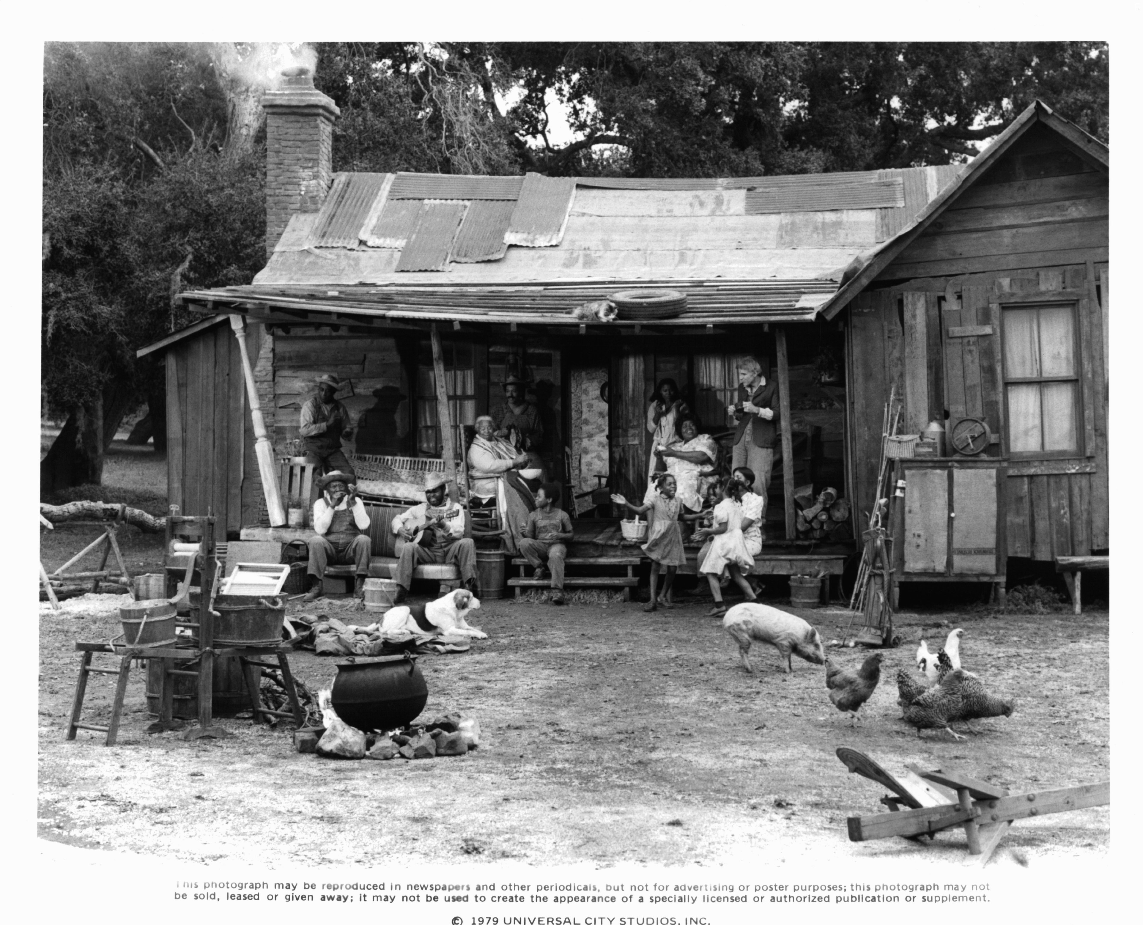 Steve Martin in Придурок (1979)