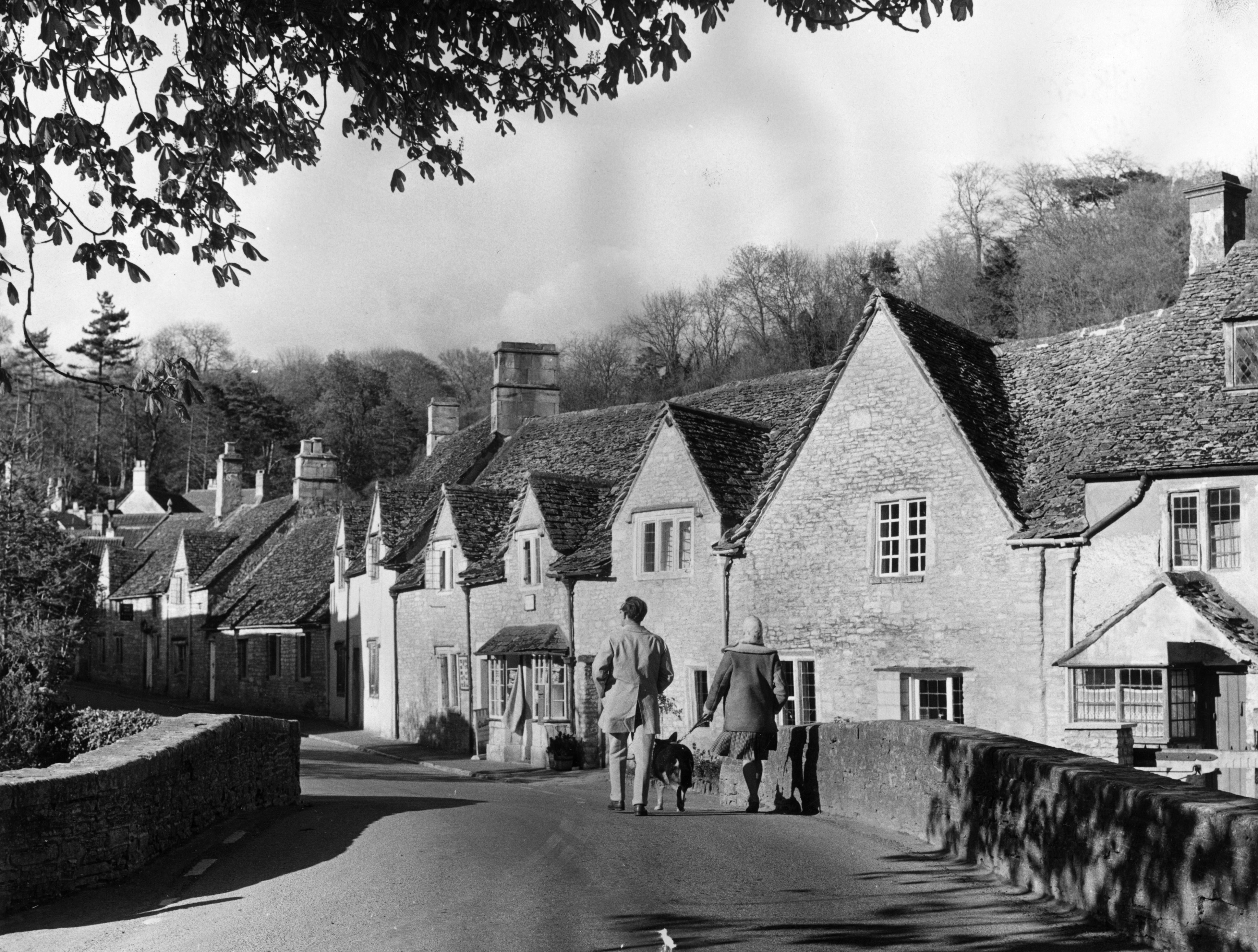 Rex Harrison in Доктор Дулиттл (1967)