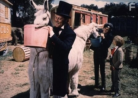 1336-14 "DR.DOLITTLE" REX HARRISON,ANTHONY NEWLEY,WILLIAM DIX 1967 20TH CENT.FOX / MPTV G 1978 TED ALLAN